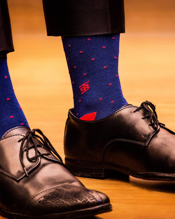 Luxury Men Socks, The Regal Edition by SockSoho
