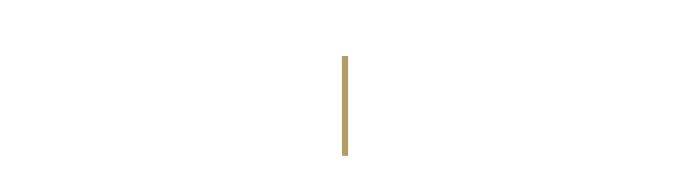 sl_logo_white